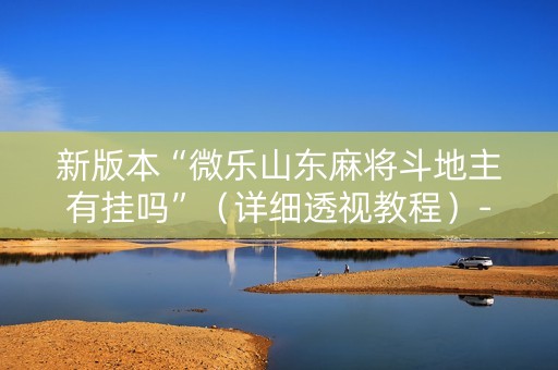 新版本“微乐山东麻将斗地主有挂吗”（详细透视教程）-哔哩哔哩