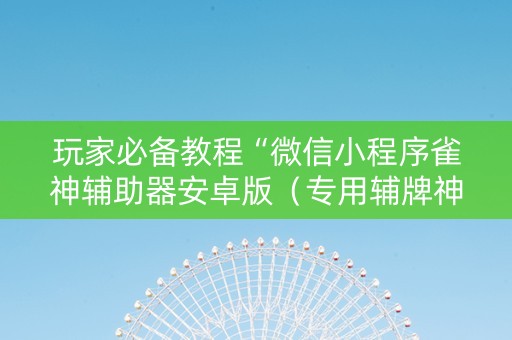 玩家必备教程“微信小程序雀神辅助器安卓版（专用辅牌神器免安装）