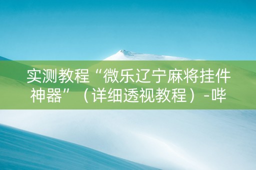 实测教程“微乐辽宁麻将挂件神器”（详细透视教程）-哔哩哔哩