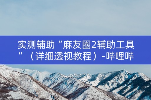 实测辅助“麻友圈2辅助工具”（详细透视教程）-哔哩哔哩