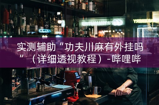 实测辅助“功夫川麻有外挂吗”（详细透视教程）-哔哩哔哩