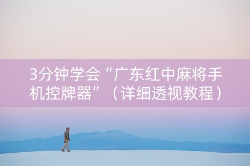 3分钟学会“广东红中麻将手机控牌器”（详细透视教程）-哔哩哔哩