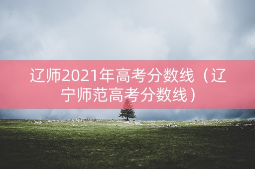 辽师2021年高考分数线（辽宁师范高考分数线）