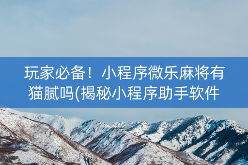 玩家必备！小程序微乐麻将有猫腻吗(揭秘小程序助手软件)