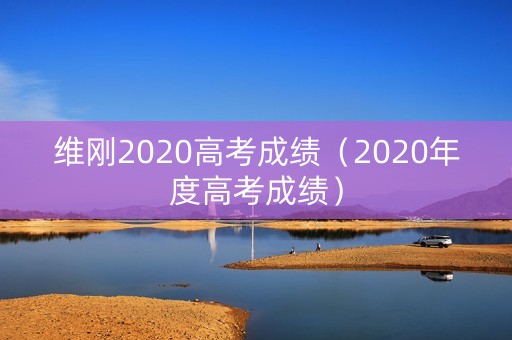 维刚2020高考成绩（2020年度高考成绩）