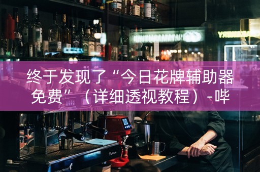 终于发现了“今日花牌辅助器免费”（详细透视教程）-哔哩哔哩