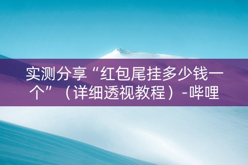 实测分享“红包尾挂多少钱一个”（详细透视教程）-哔哩哔哩