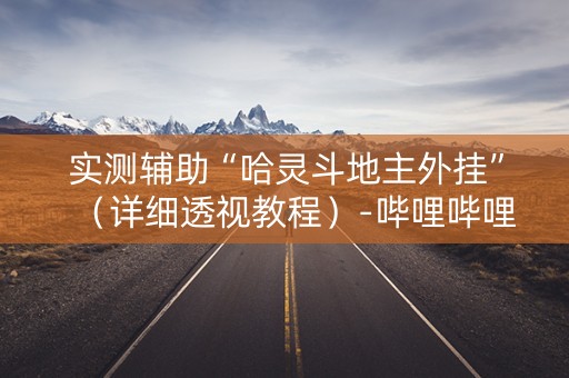 实测辅助“哈灵斗地主外挂”（详细透视教程）-哔哩哔哩