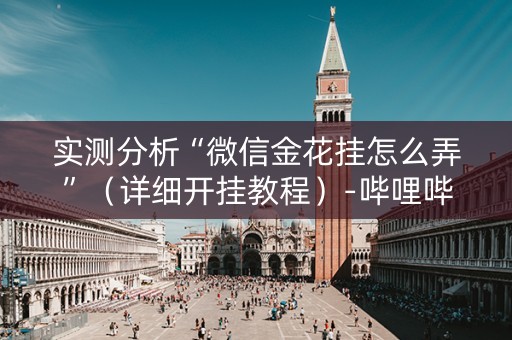 实测分析“微信金花挂怎么弄”（详细开挂教程）-哔哩哔哩