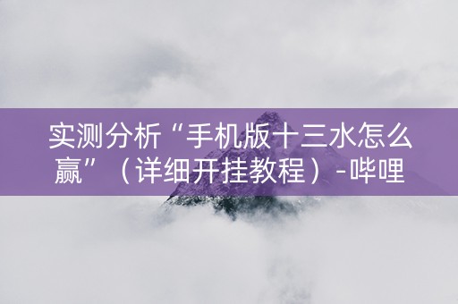 实测分析“手机版十三水怎么赢”（详细开挂教程）-哔哩哔哩