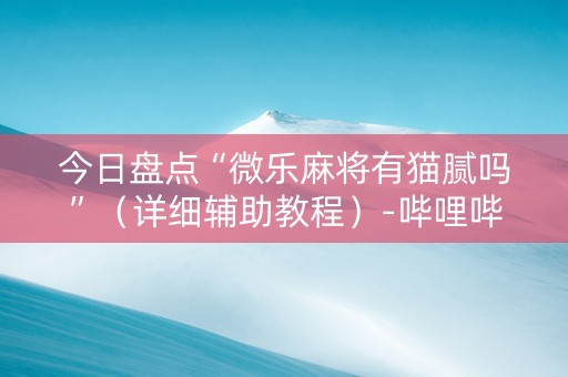 今日盘点“微乐麻将有猫腻吗”（详细辅助教程）-哔哩哔哩