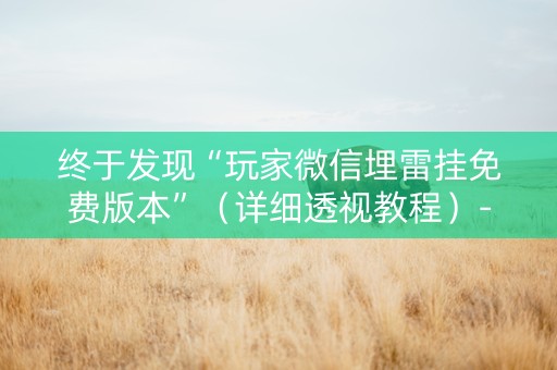 终于发现“玩家微信埋雷挂免费版本”（详细透视教程）-哔哩哔哩