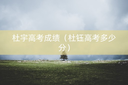 杜宇高考成绩（杜钰高考多少分）