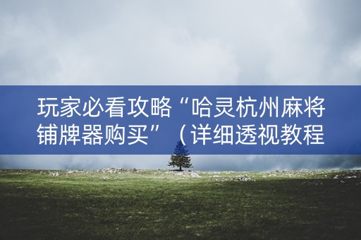 玩家必看攻略“哈灵杭州麻将铺牌器购买”（详细透视教程）-哔哩哔哩