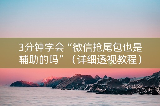 3分钟学会“微信抢尾包也是辅助的吗”（详细透视教程）-哔哩哔哩