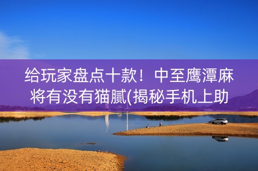 给玩家盘点十款！中至鹰潭麻将有没有猫腻(揭秘手机上助赢神器购买)