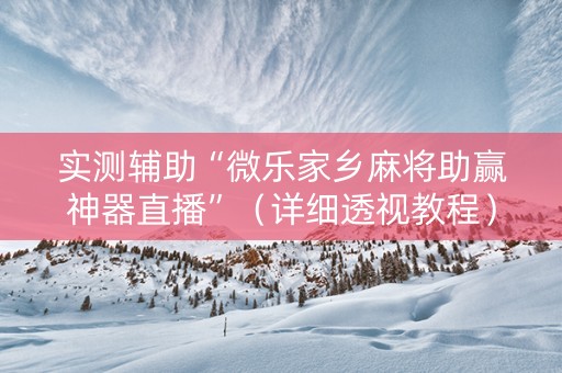 实测辅助“微乐家乡麻将助赢神器直播”（详细透视教程）-哔哩哔哩