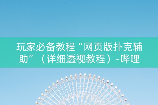 玩家必备教程“网页版扑克辅助”（详细透视教程）-哔哩哔哩