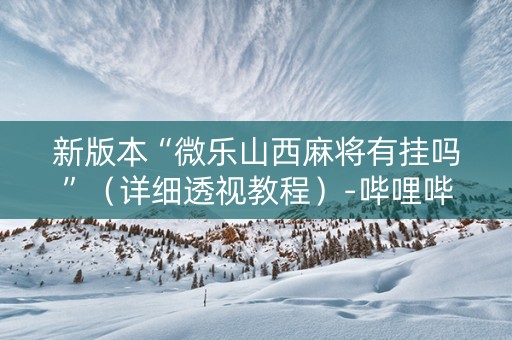 新版本“微乐山西麻将有挂吗”（详细透视教程）-哔哩哔哩