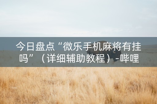 今日盘点“微乐手机麻将有挂吗”（详细辅助教程）-哔哩哔哩