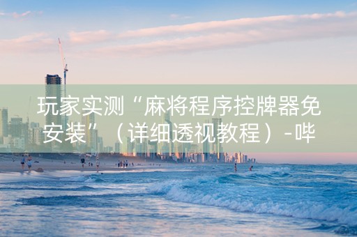 玩家实测“麻将程序控牌器免安装”（详细透视教程）-哔哩哔哩