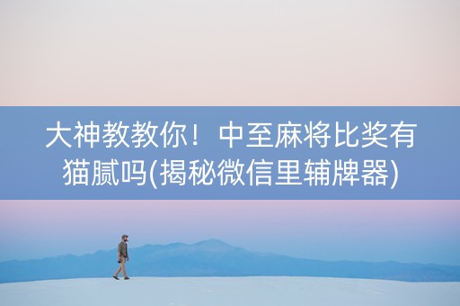 大神教教你！中至麻将比奖有猫腻吗(揭秘微信里辅牌器)