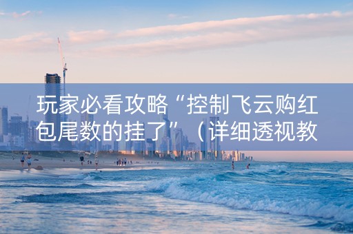 玩家必看攻略“控制飞云购红包尾数的挂了”（详细透视教程）-哔哩哔哩