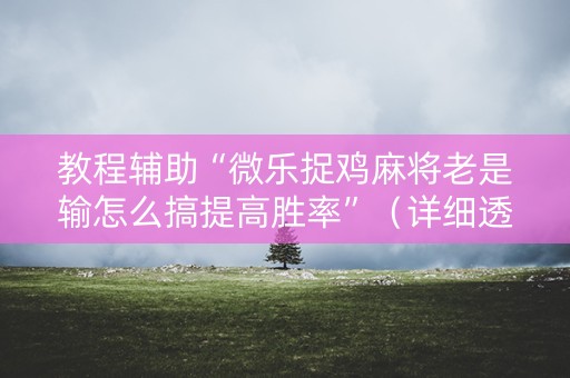 教程辅助“微乐捉鸡麻将老是输怎么搞提高胜率”（详细透视教程）-哔哩哔哩