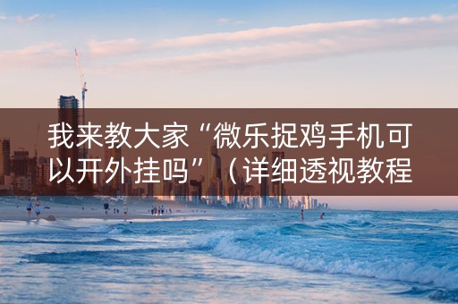 我来教大家“微乐捉鸡手机可以开外挂吗”（详细透视教程）-哔哩哔哩