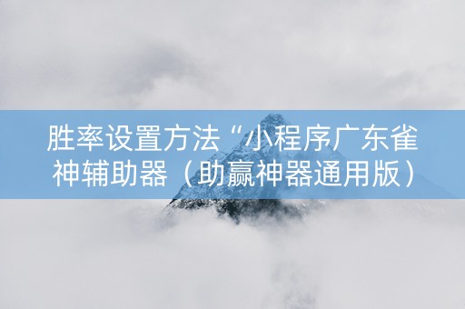 胜率设置方法“小程序广东雀神辅助器（助赢神器通用版）