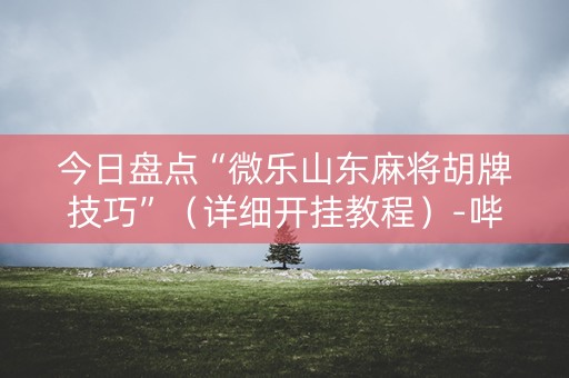 今日盘点“微乐山东麻将胡牌技巧”（详细开挂教程）-哔哩哔哩