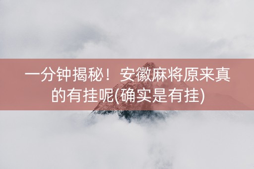 一分钟揭秘！安徽麻将原来真的有挂呢(确实是有挂)