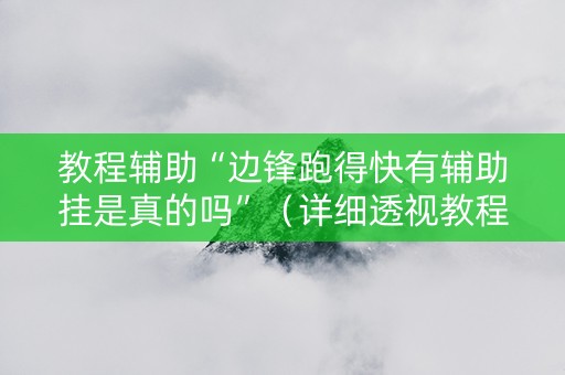 教程辅助“边锋跑得快有辅助挂是真的吗”（详细透视教程）-哔哩哔哩
