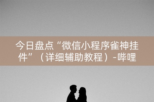今日盘点“微信小程序雀神挂件”（详细辅助教程）-哔哩哔哩