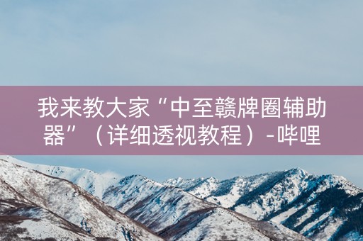 我来教大家“中至赣牌圈辅助器”（详细透视教程）-哔哩哔哩