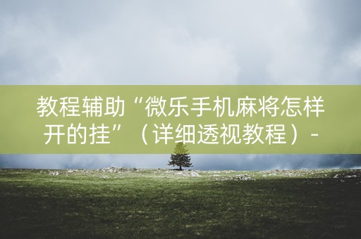 教程辅助“微乐手机麻将怎样开的挂”（详细透视教程）-哔哩哔哩