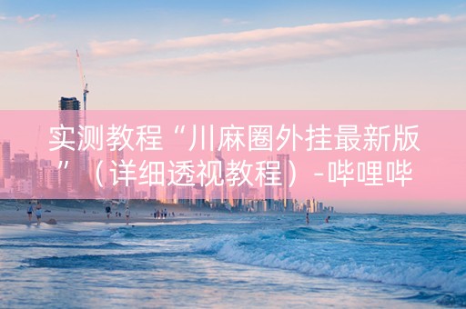 实测教程“川麻圈外挂最新版”（详细透视教程）-哔哩哔哩