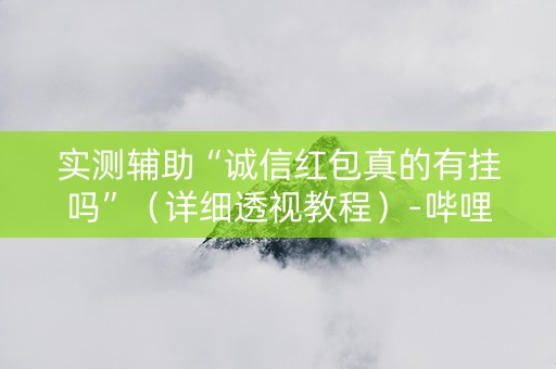 实测辅助“诚信红包真的有挂吗”（详细透视教程）-哔哩哔哩