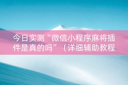 今日实测“微信小程序麻将插件是真的吗”（详细辅助教程）-哔哩哔哩