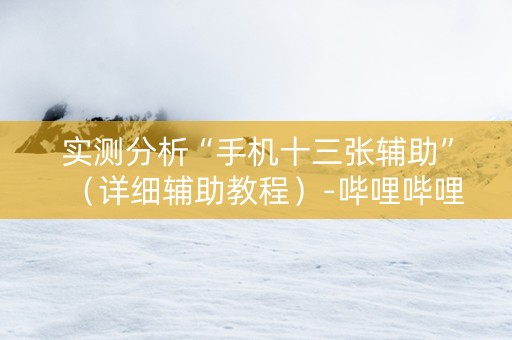 实测分析“手机十三张辅助”（详细辅助教程）-哔哩哔哩