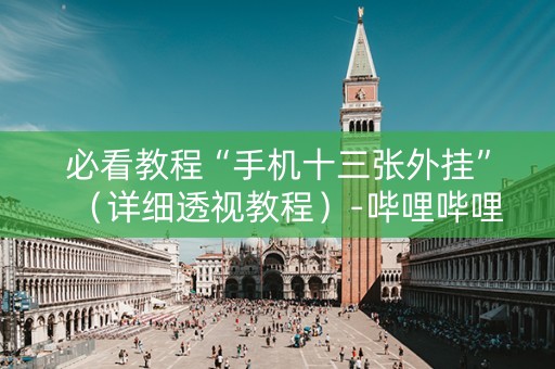 必看教程“手机十三张外挂”（详细透视教程）-哔哩哔哩