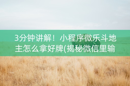 3分钟讲解！小程序微乐斗地主怎么拿好牌(揭秘微信里输赢技巧)