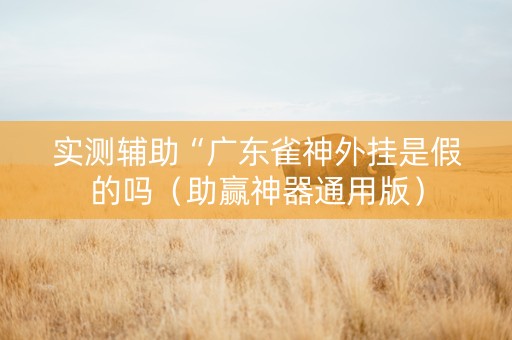 实测辅助“广东雀神外挂是假的吗（助赢神器通用版）