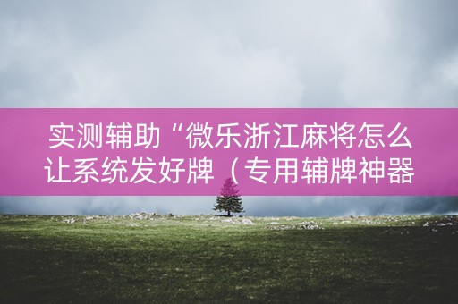实测辅助“微乐浙江麻将怎么让系统发好牌（专用辅牌神器免安装）