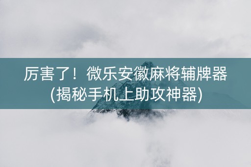 厉害了！微乐安徽麻将辅牌器(揭秘手机上助攻神器)
