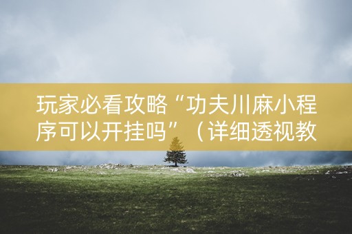 玩家必看攻略“功夫川麻小程序可以开挂吗”（详细透视教程）-哔哩哔哩