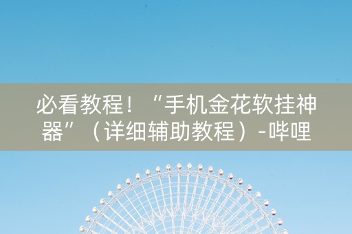 必看教程！“手机金花软挂神器”（详细辅助教程）-哔哩哔哩
