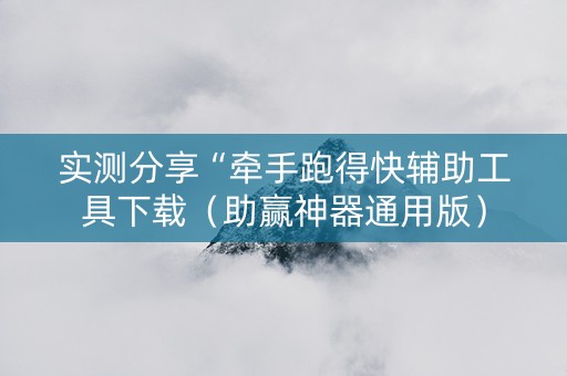 实测分享“牵手跑得快辅助工具下载（助赢神器通用版）