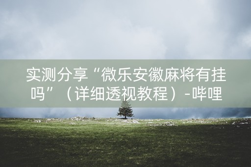 实测分享“微乐安徽麻将有挂吗”（详细透视教程）-哔哩哔哩