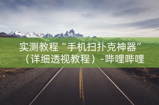 实测教程“手机扫扑克神器”（详细透视教程）-哔哩哔哩